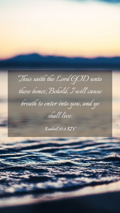 Picture 03 - Ezekiel 37:5 KJV Mobile Phone Wallpaper - Thus saith the Lord GOD unto these bones; Behold, - Mobile Bible Verse Wallpaper