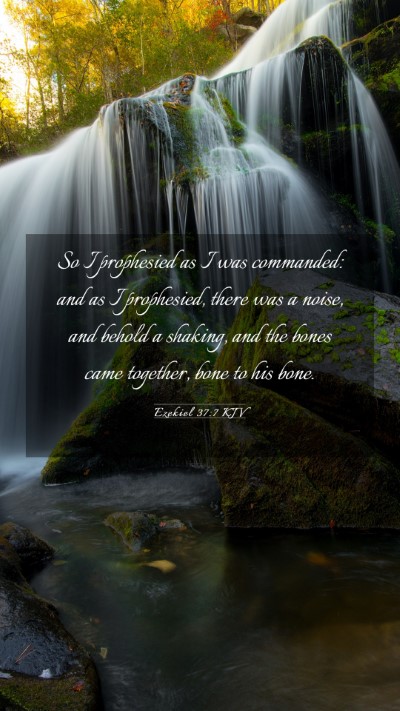 Picture 03 - Ezekiel 37:7 KJV Mobile Phone Wallpaper - So I prophesied as I was commanded: and as I - Mobile Bible Verse Wallpaper