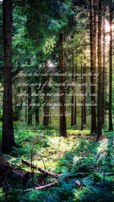 Picture 03 - Ezekiel 40:40 KJV Mobile Phone Wallpaper - And at the side without, as one goeth up to the - Mobile Bible Verse Wallpaper
