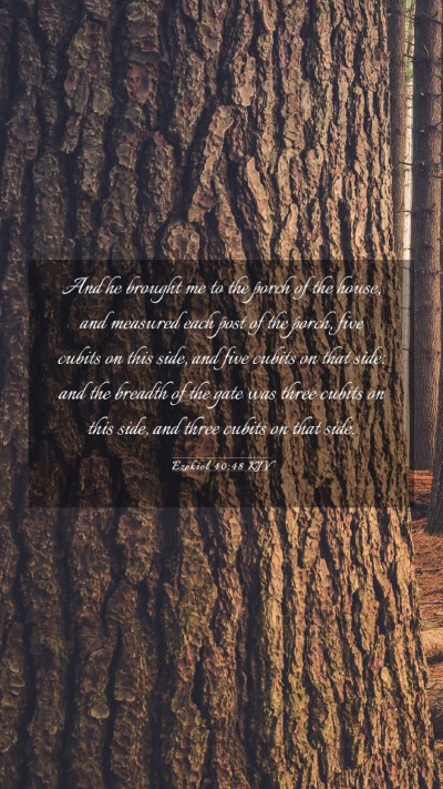 Picture 03 - Ezekiel 40:48 KJV Mobile Phone Wallpaper - And he brought me to the porch of the house, and - Mobile Bible Verse Wallpaper
