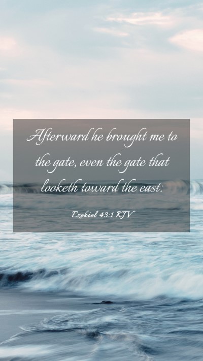 Picture 03 - Ezekiel 43:1 KJV Mobile Phone Wallpaper - Afterward he brought me to the gate, even the - Mobile Bible Verse Wallpaper