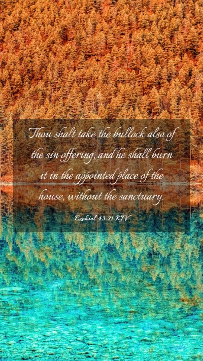 Picture 03 - Ezekiel 43:21 KJV Mobile Phone Wallpaper - Thou shalt take the bullock also of the sin - Mobile Bible Verse Wallpaper