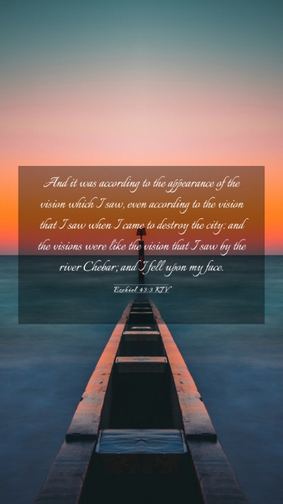 Picture 03 - Ezekiel 43:3 KJV Mobile Phone Wallpaper - And it was according to the appearance of the - Mobile Bible Verse Wallpaper