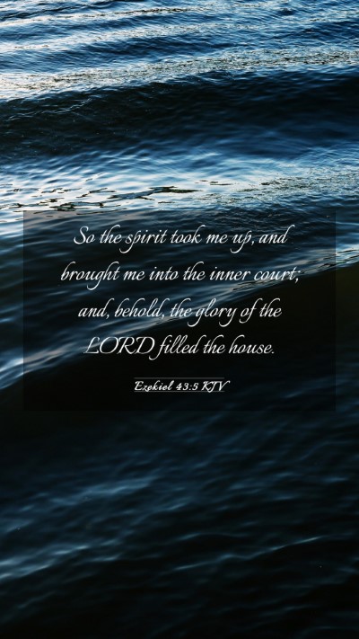 Picture 03 - Ezekiel 43:5 KJV Mobile Phone Wallpaper - So the spirit took me up, and brought me into the - Mobile Bible Verse Wallpaper