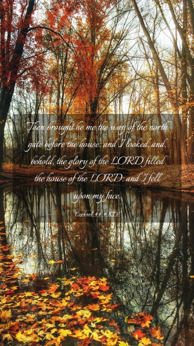 Picture 03 - Ezekiel 44:4 KJV Mobile Phone Wallpaper - Then brought he me the way of the north gate - Mobile Bible Verse Wallpaper
