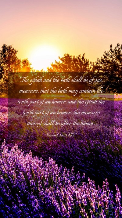 Picture 03 - Ezekiel 45:11 KJV Mobile Phone Wallpaper - The ephah and the bath shall be of one measure, - Mobile Bible Verse Wallpaper