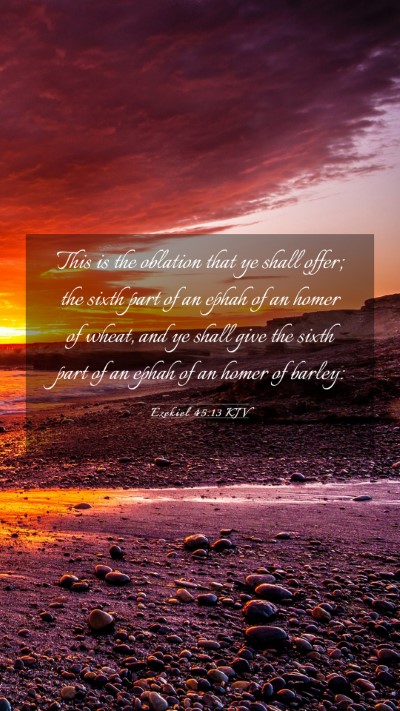 Picture 03 - Ezekiel 45:13 KJV Mobile Phone Wallpaper - This is the oblation that ye shall offer; the - Mobile Bible Verse Wallpaper