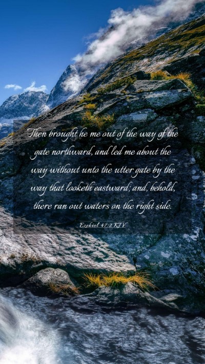 Picture 03 - Ezekiel 47:2 KJV Mobile Phone Wallpaper - Then brought he me out of the way of the gate - Mobile Bible Verse Wallpaper