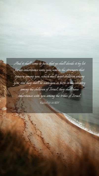 Picture 03 - Ezekiel 47:22 KJV Mobile Phone Wallpaper - And it shall come to pass, that ye shall divide - Mobile Bible Verse Wallpaper