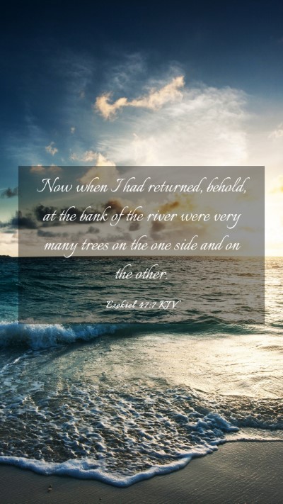 Picture 03 - Ezekiel 47:7 KJV Mobile Phone Wallpaper - Now when I had returned, behold, at the bank of - Mobile Bible Verse Wallpaper