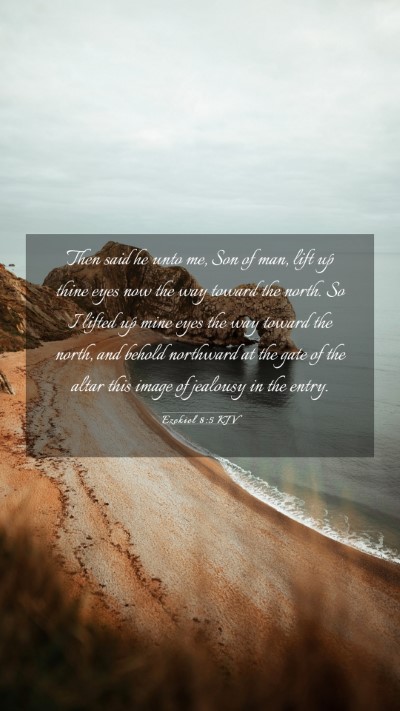 Picture 03 - Ezekiel 8:5 KJV Mobile Phone Wallpaper - Then said he unto me, Son of man, lift up thine - Mobile Bible Verse Wallpaper