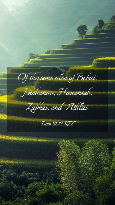 Picture 03 - Ezra 10:28 KJV Mobile Phone Wallpaper - Of the sons also of Bebai; Jehohanan, Hananiah, - Mobile Bible Verse Wallpaper