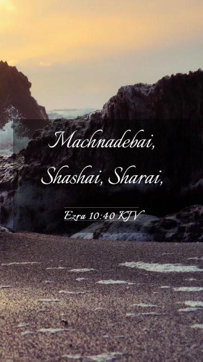 Picture 03 - Ezra 10:40 KJV Mobile Phone Wallpaper - Machnadebai, Shashai, - Mobile Bible Verse Wallpaper