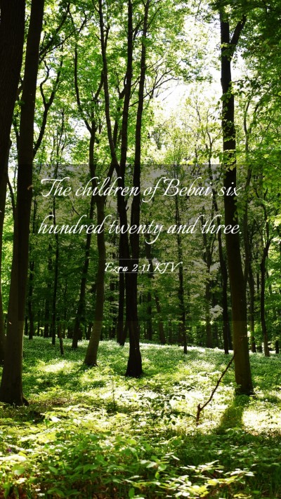 Picture 03 - Ezra 2:11 KJV Mobile Phone Wallpaper - The children of Bebai, six hundred twenty and - Mobile Bible Verse Wallpaper