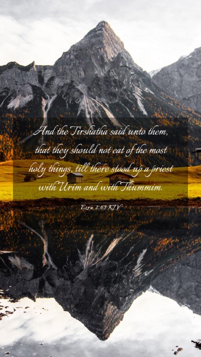 Picture 03 - Ezra 2:63 KJV Mobile Phone Wallpaper - And the Tirshatha said unto them, that they - Mobile Bible Verse Wallpaper