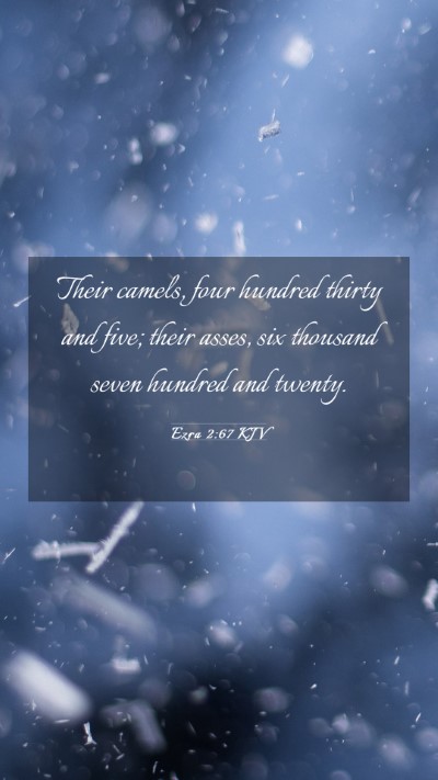 Picture 03 - Ezra 2:67 KJV Mobile Phone Wallpaper - Their camels, four hundred thirty and five; their - Mobile Bible Verse Wallpaper