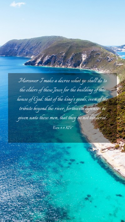 Picture 03 - Ezra 6:8 KJV Mobile Phone Wallpaper - Moreover I make a decree what ye shall do to the - Mobile Bible Verse Wallpaper