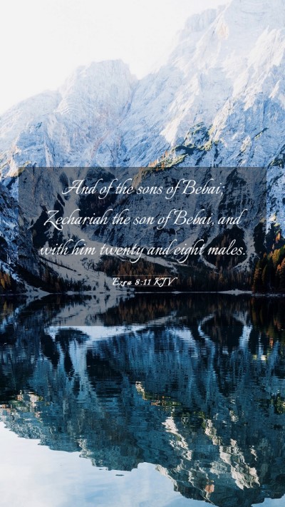 Picture 03 - Ezra 8:11 KJV Mobile Phone Wallpaper - And of the sons of Bebai; Zechariah the son of - Mobile Bible Verse Wallpaper