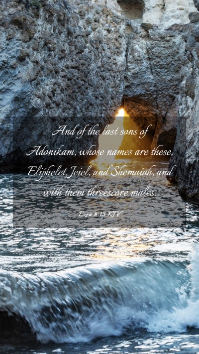 Picture 03 - Ezra 8:13 KJV Mobile Phone Wallpaper - And of the last sons of Adonikam, whose names are - Mobile Bible Verse Wallpaper