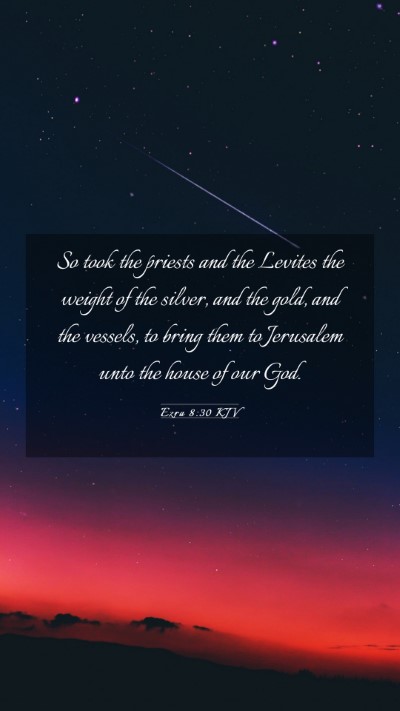 Picture 03 - Ezra 8:30 KJV Mobile Phone Wallpaper - So took the priests and the Levites the weight of - Mobile Bible Verse Wallpaper