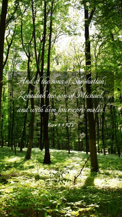 Picture 03 - Ezra 8:8 KJV Mobile Phone Wallpaper - And of the sons of Shephatiah; Zebadiah the son - Mobile Bible Verse Wallpaper