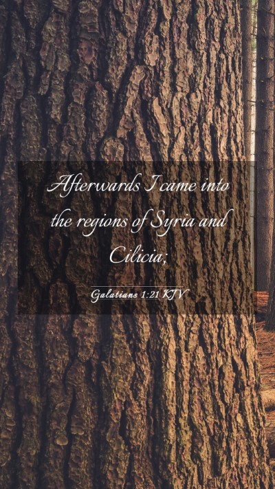 Picture 03 - Galatians 1:21 KJV Mobile Phone Wallpaper - Afterwards I came into the regions of Syria and - Mobile Bible Verse Wallpaper