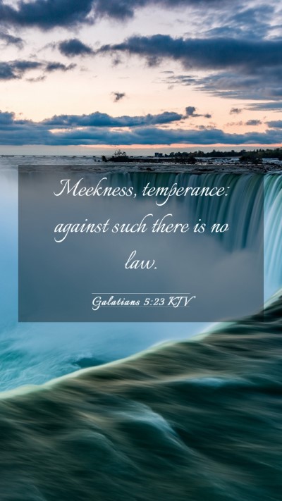 Picture 03 - Galatians 5:23 KJV Mobile Phone Wallpaper - Meekness, temperance: against such there is no - Mobile Bible Verse Wallpaper