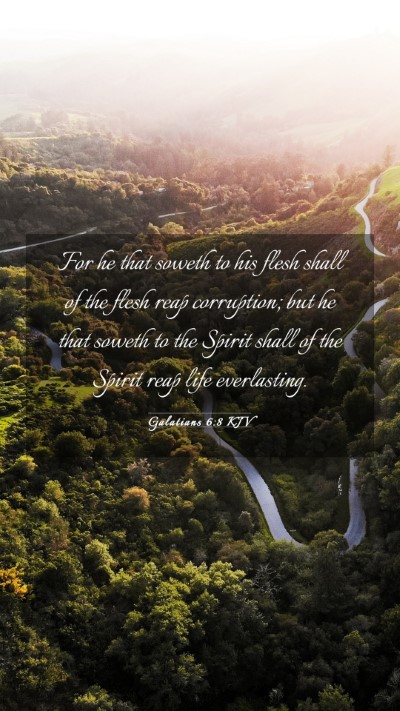 Picture 03 - Galatians 6:8 KJV Mobile Phone Wallpaper - For he that soweth to his flesh shall of the - Mobile Bible Verse Wallpaper