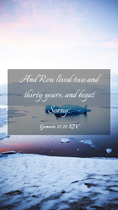 Picture 03 - Genesis 11:20 KJV Mobile Phone Wallpaper - And Reu lived two and thirty years, and begat - Mobile Bible Verse Wallpaper