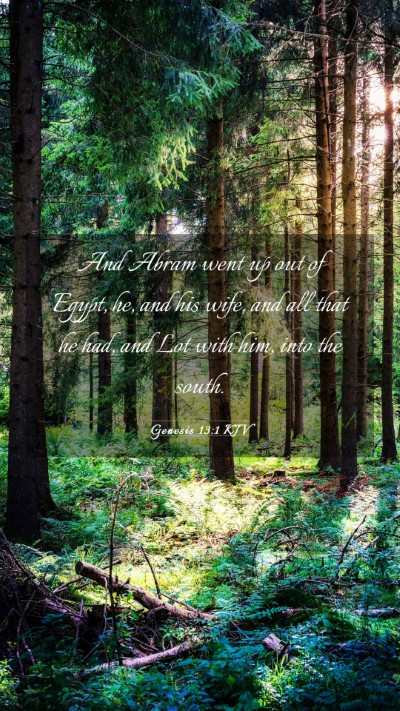 Picture 03 - Genesis 13:1 KJV Mobile Phone Wallpaper - And Abram went up out of Egypt, he, and his wife, - Mobile Bible Verse Wallpaper