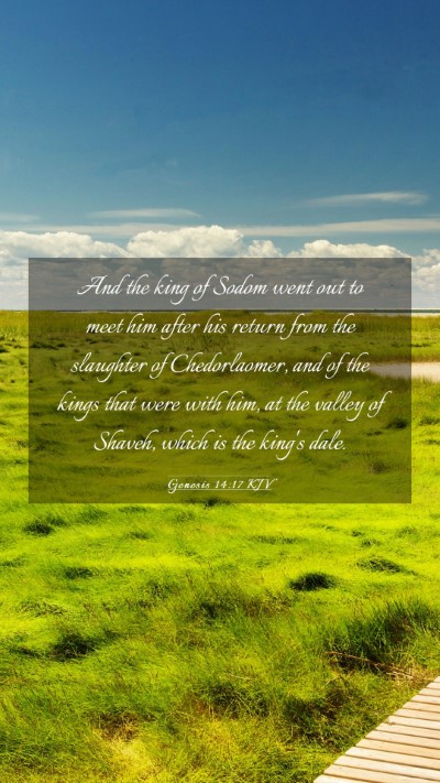 Picture 03 - Genesis 14:17 KJV Mobile Phone Wallpaper - And the king of Sodom went out to meet him after - Mobile Bible Verse Wallpaper