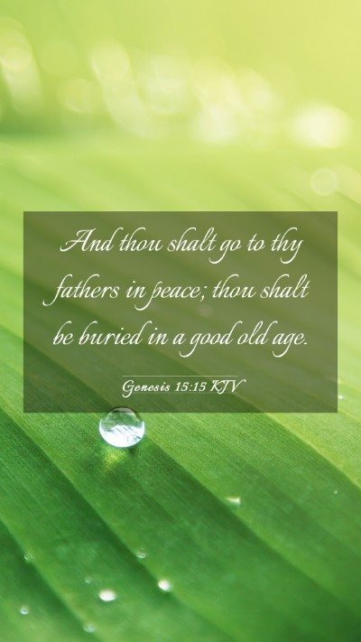 Picture 03 - Genesis 15:15 KJV Mobile Phone Wallpaper - And thou shalt go to thy fathers in peace; thou - Mobile Bible Verse Wallpaper