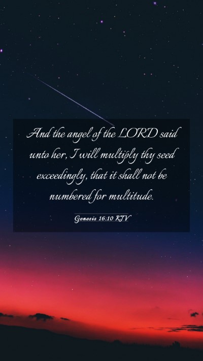 Picture 03 - Genesis 16:10 KJV Mobile Phone Wallpaper - And the angel of the LORD said unto her, I will - Mobile Bible Verse Wallpaper