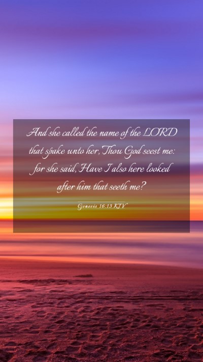 Picture 03 - Genesis 16:13 KJV Mobile Phone Wallpaper - And she called the name of the LORD that spake - Mobile Bible Verse Wallpaper