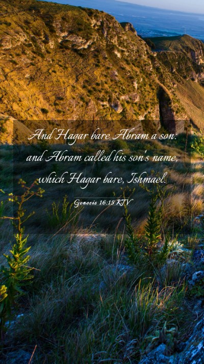 Picture 03 - Genesis 16:15 KJV Mobile Phone Wallpaper - And Hagar bare Abram a son: and Abram called his - Mobile Bible Verse Wallpaper