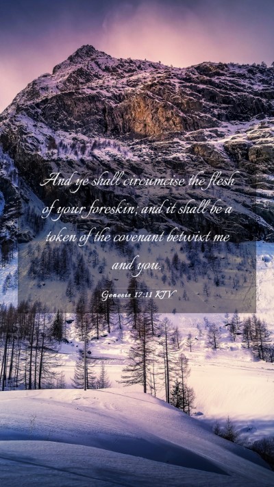 Picture 03 - Genesis 17:11 KJV Mobile Phone Wallpaper - And ye shall circumcise the flesh of your - Mobile Bible Verse Wallpaper