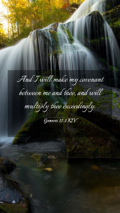Picture 03 - Genesis 17:2 KJV Mobile Phone Wallpaper - And I will make my covenant between me and thee, - Mobile Bible Verse Wallpaper