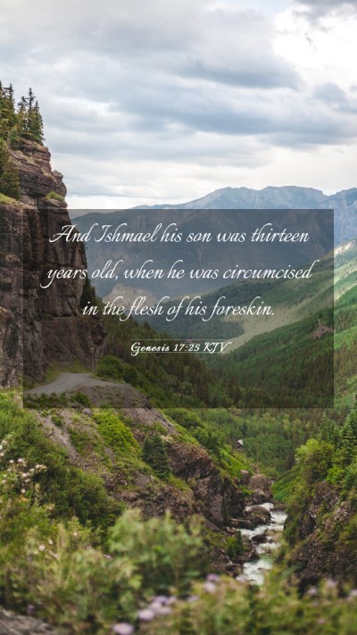 Picture 03 - Genesis 17:25 KJV Mobile Phone Wallpaper - And Ishmael his son was thirteen years old, when - Mobile Bible Verse Wallpaper