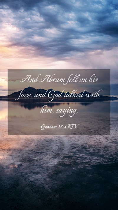Picture 03 - Genesis 17:3 KJV Mobile Phone Wallpaper - And Abram fell on his face: and God talked with - Mobile Bible Verse Wallpaper