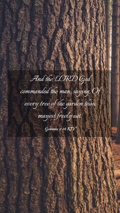 Picture 03 - Genesis 2:16 KJV Mobile Phone Wallpaper - And the LORD God commanded the man, saying, Of - Mobile Bible Verse Wallpaper
