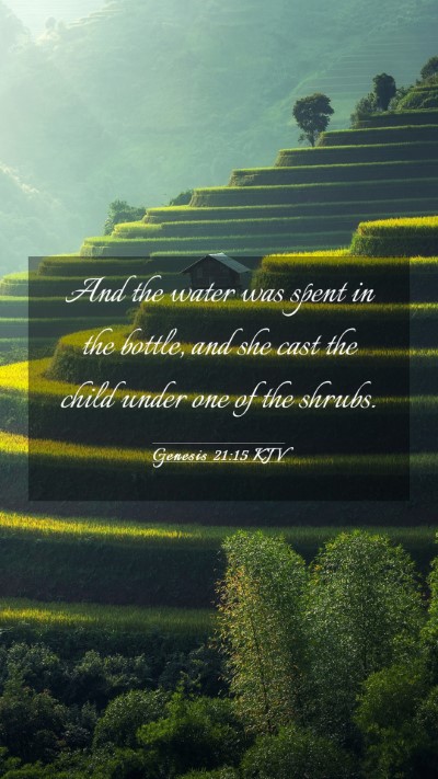 Picture 03 - Genesis 21:15 KJV Mobile Phone Wallpaper - And the water was spent in the bottle, and she - Mobile Bible Verse Wallpaper