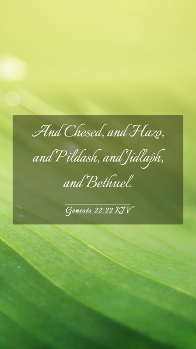 Picture 03 - Genesis 22:22 KJV Mobile Phone Wallpaper - And Chesed, and Hazo, and Pildash, and Jidlaph, - Mobile Bible Verse Wallpaper