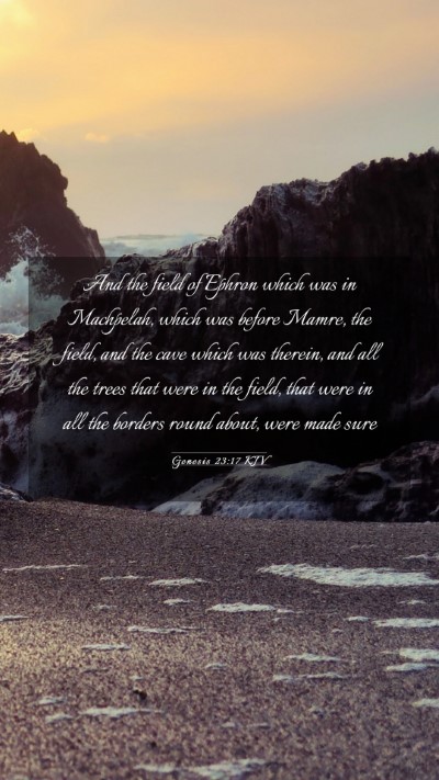 Picture 03 - Genesis 23:17 KJV Mobile Phone Wallpaper - And the field of Ephron which was in Machpelah, - Mobile Bible Verse Wallpaper