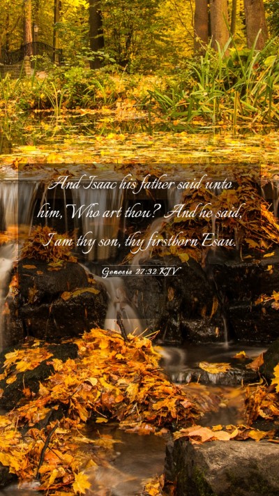 Picture 03 - Genesis 27:32 KJV Mobile Phone Wallpaper - And Isaac his father said unto him, Who art thou? - Mobile Bible Verse Wallpaper