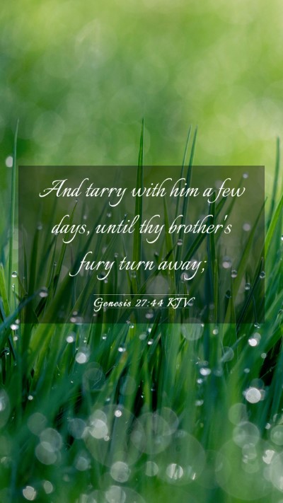 Picture 03 - Genesis 27:44 KJV Mobile Phone Wallpaper - And tarry with him a few days, until thy - Mobile Bible Verse Wallpaper