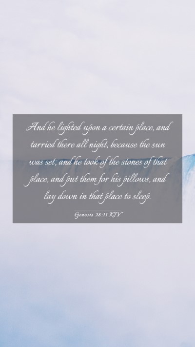 Picture 03 - Genesis 28:11 KJV Mobile Phone Wallpaper - And he lighted upon a certain place, and tarried - Mobile Bible Verse Wallpaper