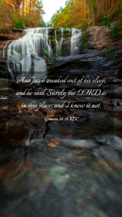 Picture 03 - Genesis 28:16 KJV Mobile Phone Wallpaper - And Jacob awaked out of his sleep, and he said, - Mobile Bible Verse Wallpaper