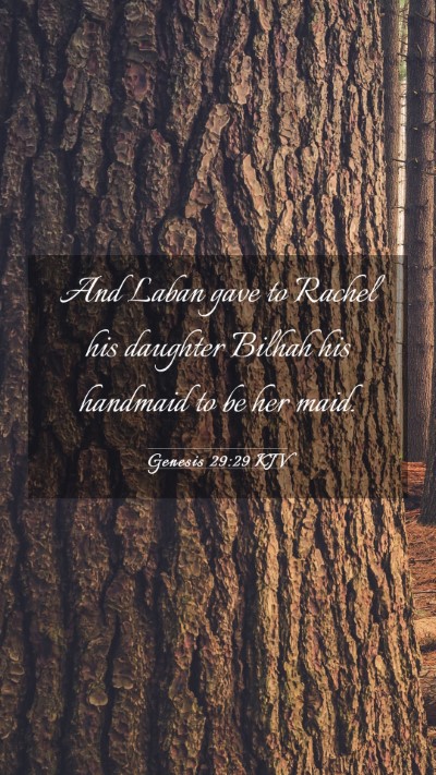 Picture 03 - Genesis 29:29 KJV Mobile Phone Wallpaper - And Laban gave to Rachel his daughter Bilhah his - Mobile Bible Verse Wallpaper
