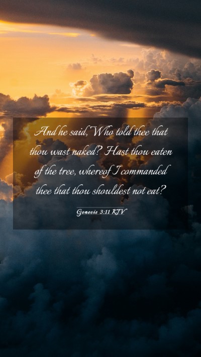 Picture 03 - Genesis 3:11 KJV Mobile Phone Wallpaper - And he said, Who told thee that thou wast naked? - Mobile Bible Verse Wallpaper
