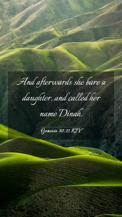 Picture 03 - Genesis 30:21 KJV Mobile Phone Wallpaper - And afterwards she bare a daughter, and called - Mobile Bible Verse Wallpaper